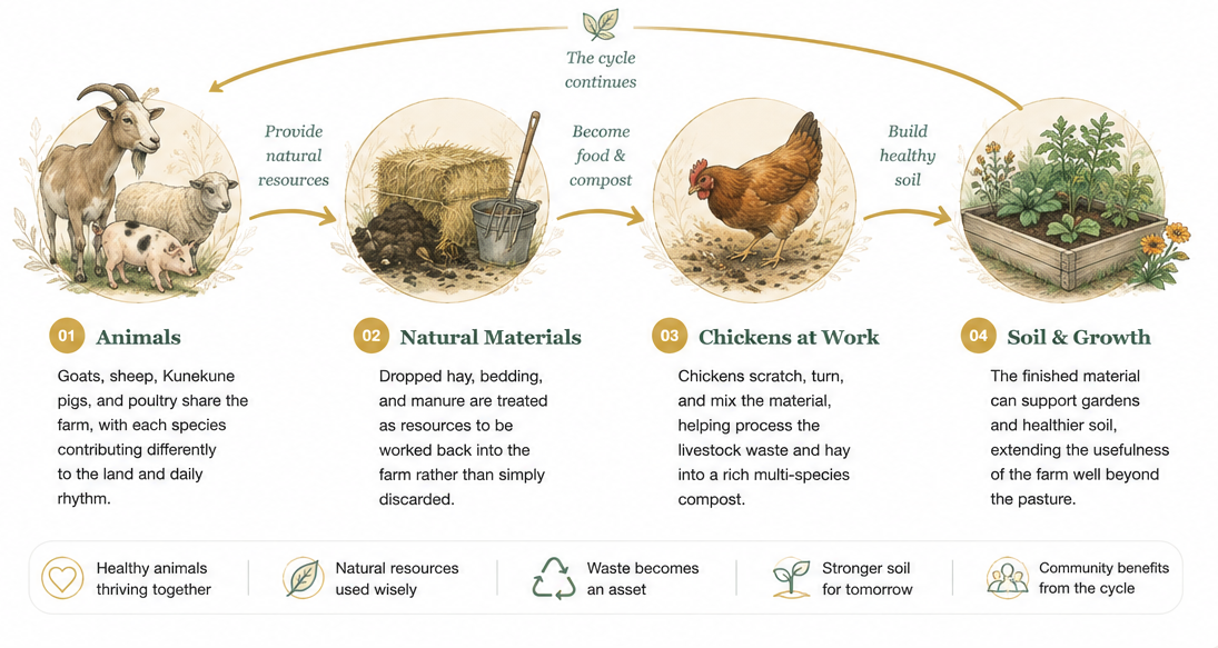 Illustrated Harper Farm ecosystem cycle showing animals providing natural resources, hay and manure becoming compost, chickens helping process the materials, and finished compost supporting soil and garden growth.